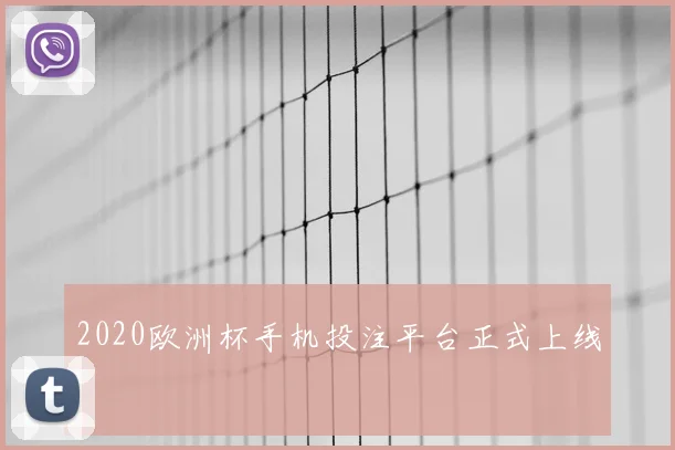 2020欧洲杯手机投注平台正式上线
