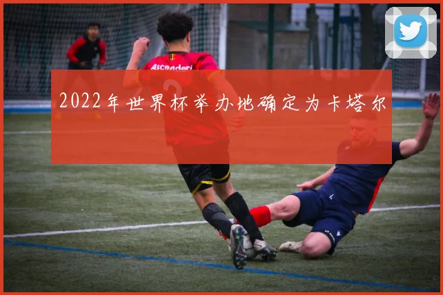 2022年世界杯举办地确定为卡塔尔