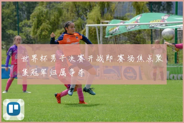 世界杯男子决赛开战即 赛场焦点聚集冠军归属争夺