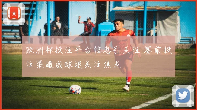 欧洲杯投注平台信息引关注 赛前投注渠道成球迷关注焦点