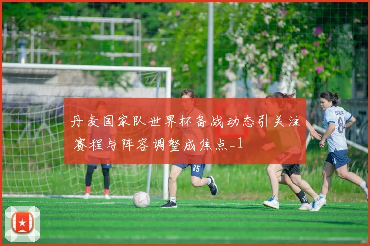 丹麦国家队世界杯备战动态引关注 赛程与阵容调整成焦点_1