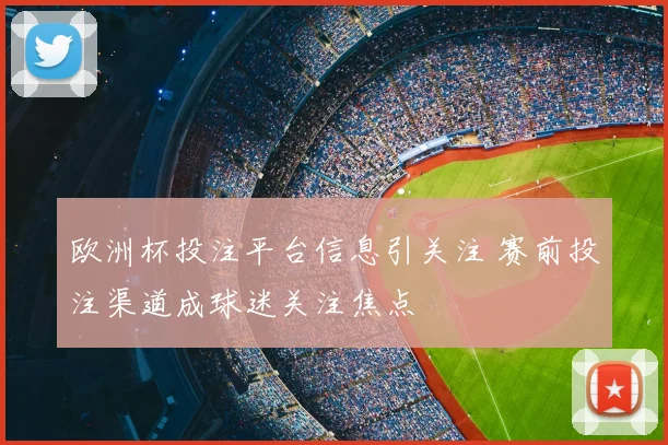 欧洲杯投注平台信息引关注 赛前投注渠道成球迷关注焦点