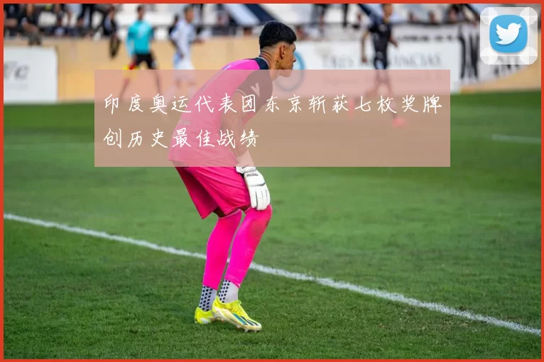 印度奥运代表团东京斩获七枚奖牌创历史最佳战绩